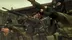 اکانت قانونی METAL GEAR SOLID MASTER COLLECTION Vol.2 برای  PS5